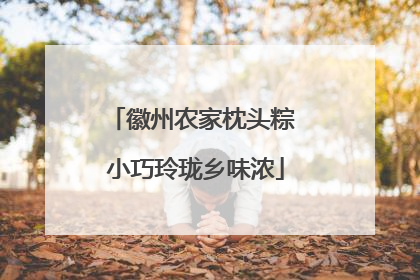 徽州农家枕头粽 小巧玲珑乡味浓