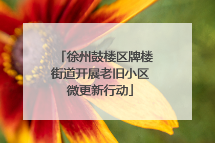 徐州鼓楼区牌楼街道开展老旧小区微更新行动
