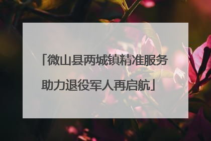 微山县两城镇精准服务助力退役军人再启航