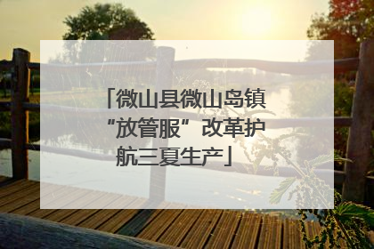 微山县微山岛镇“放管服”改革护航三夏生产