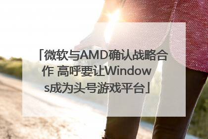 微软与AMD确认战略合作 高呼要让Windows成为头号游戏平台