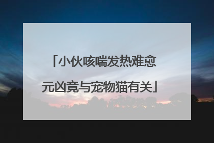 小伙咳喘发热难愈 元凶竟与宠物猫有关