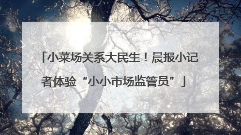 小菜场关系大民生！晨报小记者体验“小小市场监管员”