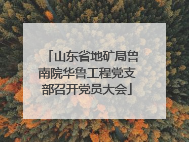山东省地矿局鲁南院华鲁工程党支部召开党员大会