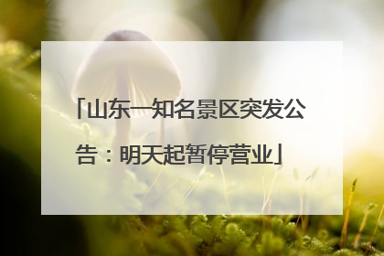 山东一知名景区突发公告：明天起暂停营业
