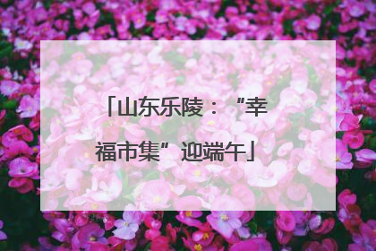 山东乐陵：“幸福市集”迎端午