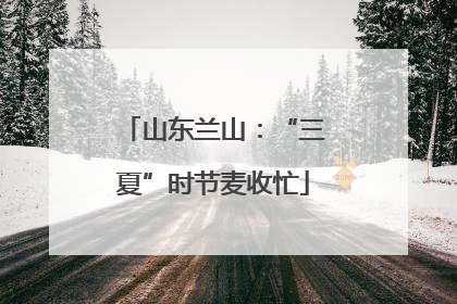 山东兰山：“三夏”时节麦收忙