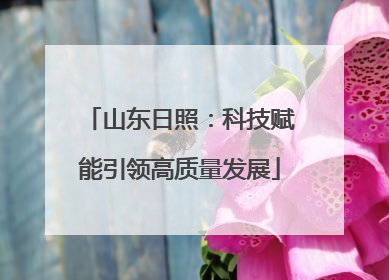 山东日照：科技赋能引领高质量发展