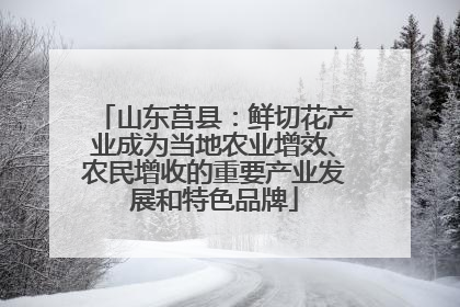 山东莒县：鲜切花产业成为当地农业增效、农民增收的重要产业发展和特色品牌