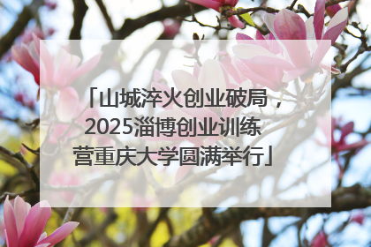 山城淬火创业破局，2025淄博创业训练营重庆大学圆满举行
