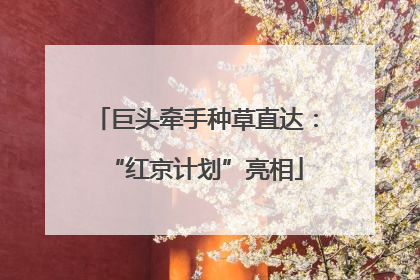 巨头牵手种草直达：“红京计划”亮相