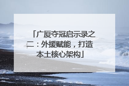 广厦夺冠启示录之二：外援赋能，打造本土核心架构