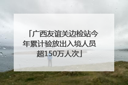广西友谊关边检站今年累计验放出入境人员超150万人次