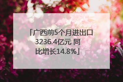 广西前5个月进出口3236.4亿元 同比增长14.8%
