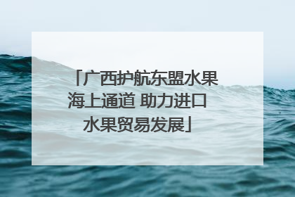 广西护航东盟水果海上通道 助力进口水果贸易发展