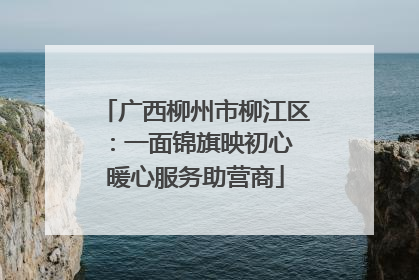 广西柳州市柳江区：一面锦旗映初心 暖心服务助营商