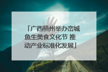 广西横州举办峦城鱼生美食文化节 推动产业标准化发展