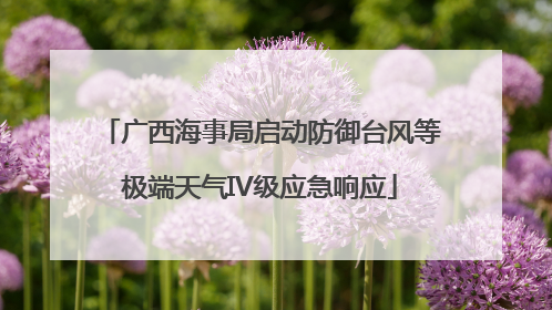 广西海事局启动防御台风等极端天气IV级应急响应