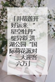 并蒂莲开好运来 “星空牡丹”绽异彩 洪湖公园“国际荷花派对”三天迎客六万
