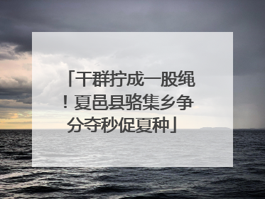 干群拧成一股绳！夏邑县骆集乡争分夺秒促夏种
