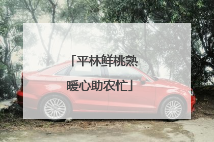 平林鲜桃熟 暖心助农忙