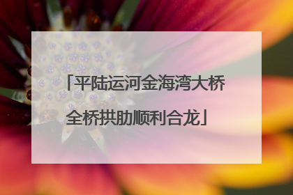 平陆运河金海湾大桥全桥拱肋顺利合龙