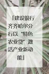 建设银行齐齐哈尔分行以“特色农业贷”激活产业新动能