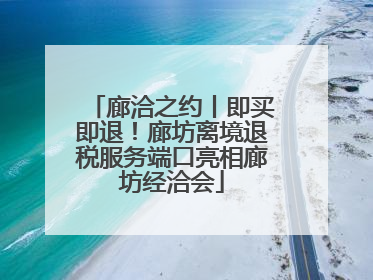 廊洽之约丨即买即退！廊坊离境退税服务端口亮相廊坊经洽会