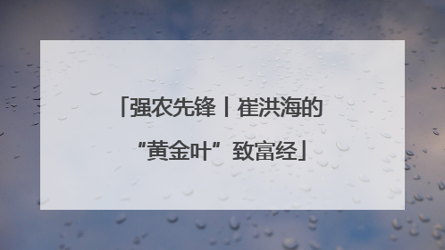 强农先锋丨崔洪海的“黄金叶”致富经