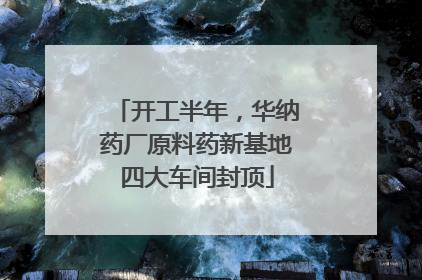 开工半年，华纳药厂原料药新基地四大车间封顶