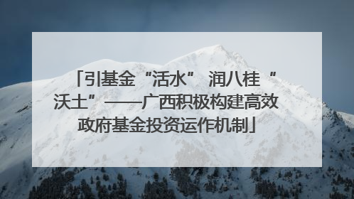 引基金“活水” 润八桂“沃土”——广西积极构建高效政府基金投资运作机制
