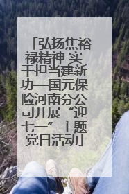 弘扬焦裕禄精神 实干担当建新功—国元保险河南分公司开展“迎七一”主题党日活动