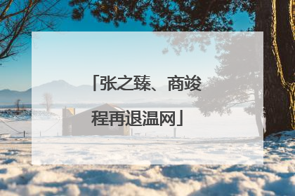 张之臻、商竣程再退温网