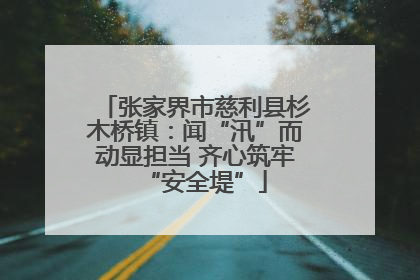 张家界市慈利县杉木桥镇：闻“汛”而动显担当 齐心筑牢“安全堤”