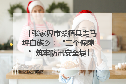 张家界市桑植县走马坪白族乡：“三个保障”筑牢防汛安全堤