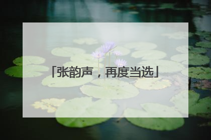 张韵声，再度当选