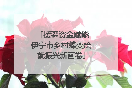 援疆资金赋能 伊宁市乡村蝶变绘就振兴新画卷