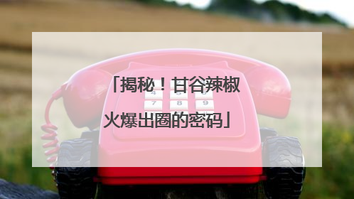 揭秘！甘谷辣椒火爆出圈的密码