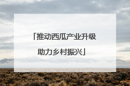 推动西瓜产业升级 助力乡村振兴