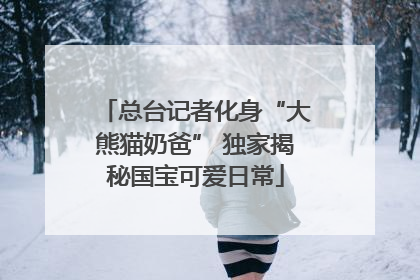 总台记者化身“大熊猫奶爸” 独家揭秘国宝可爱日常