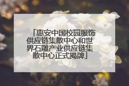 惠安中国校园服饰供应链集散中心和世界石雕产业供应链集散中心正式揭牌