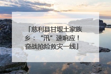 慈利县甘堰土家族乡：“汛”速响应！奋战抢险救灾一线