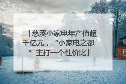 慈溪小家电年产值超千亿元，“小家电之都”主打一个性价比