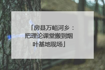 房县万峪河乡：把理论课堂搬到烟叶基地现场