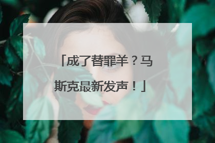 成了替罪羊？马斯克最新发声！
