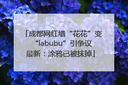 成都网红墙“花花”变“labubu”引争议 最新：涂鸦已被抹掉