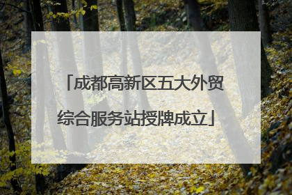 成都高新区五大外贸综合服务站授牌成立