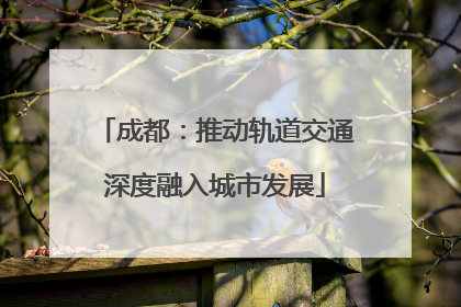 成都：推动轨道交通深度融入城市发展