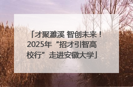 才聚濉溪 智创未来！2025年“招才引智高校行”走进安徽大学