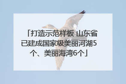 打造示范样板 山东省已建成国家级美丽河湖5个、美丽海湾6个